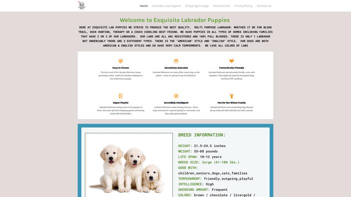 Exquisitelabradors.com - Golden Retriever Puppy Scam Review