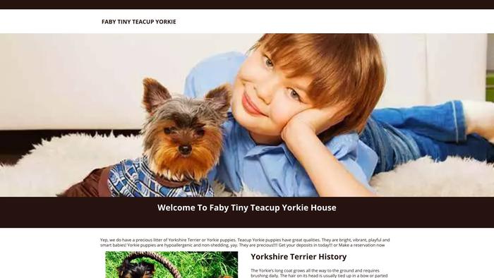 Fabytinyteacupyorkiehome.com - Yorkshire Terrier Puppy Scam Review