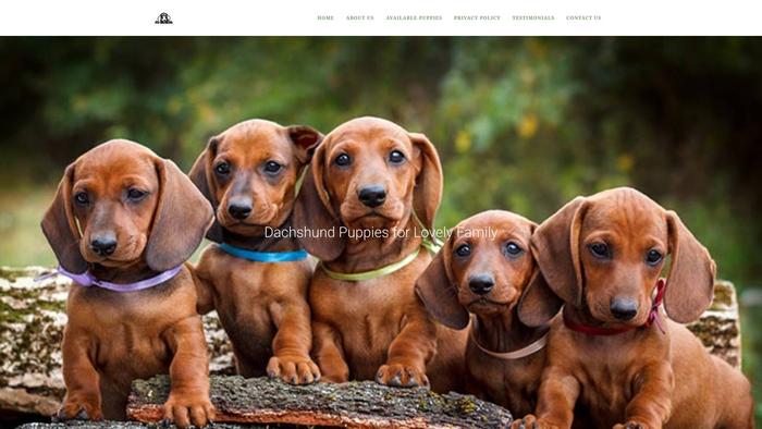 Familydachshundpups.com - Dachshund Puppy Scam Review