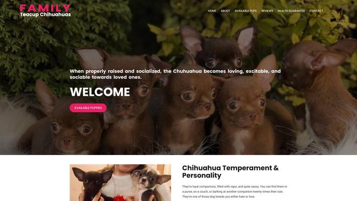 Familyteacupchihuahuas.com - Chihuahua Puppy Scam Review