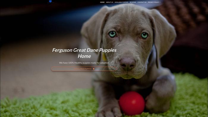 Fergusondanepuppies.com - Great Dane Puppy Scam Review