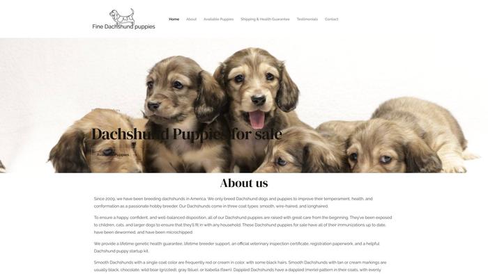 Finedachshundpuppies.com - Dachshund Puppy Scam Review