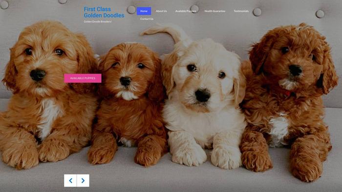 Firstclassgoldendoodles.com - Golden Doodle Puppy Scam Review