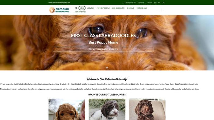 Firstclasslabradoodles.com - Labradoodle Puppy Scam Review