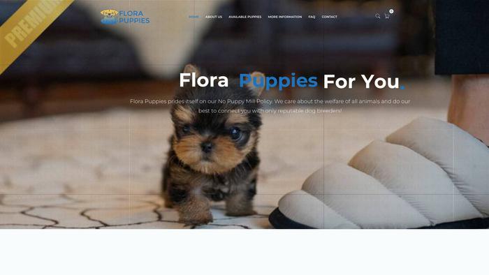 Florapuppies.com - Yorkshire Terrier Puppy Scam Review