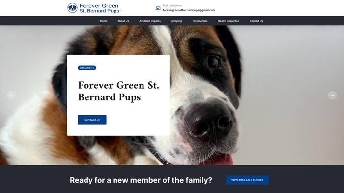 Forevergreensaintbernardpups.com - Saint Bernard Puppy Scam Review