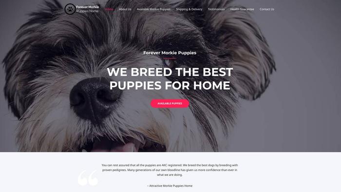 Forevermorkiepuppieshome.com - Yorkshire Terrier Puppy Scam Review