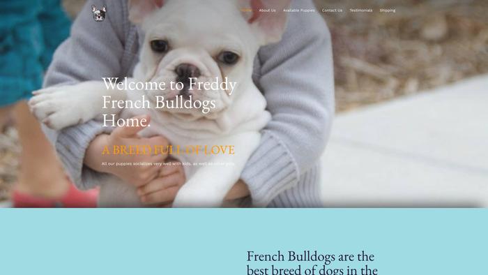 Freddyfrenchbulldogs.com - French Bulldog Puppy Scam Review