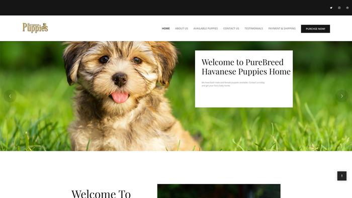 Furryshihtzu.com - Shihtzu Puppy Scam Review