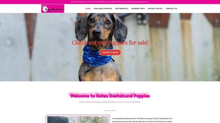 Gatesdachshundpuppies.com - Dachshund Puppy Scam Review