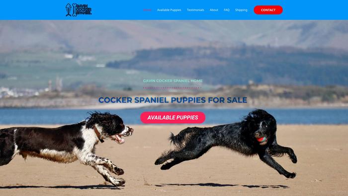 Gavincockerspanielpuppies.xyz - Cockerspaniel Puppy Scam Review