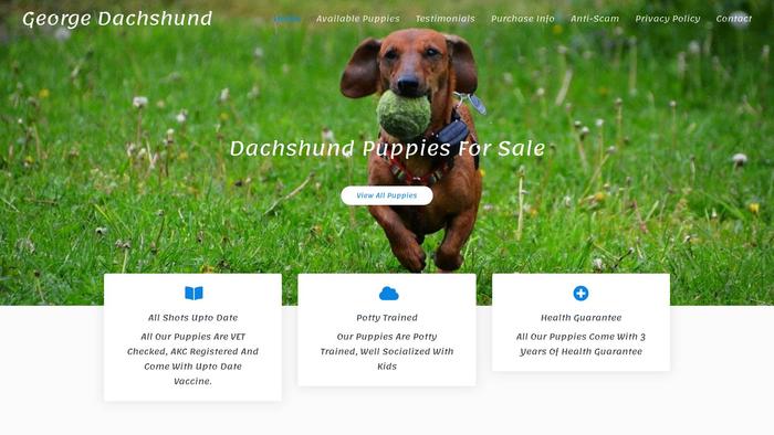 Georgedachshund.com - Dachshund Puppy Scam Review