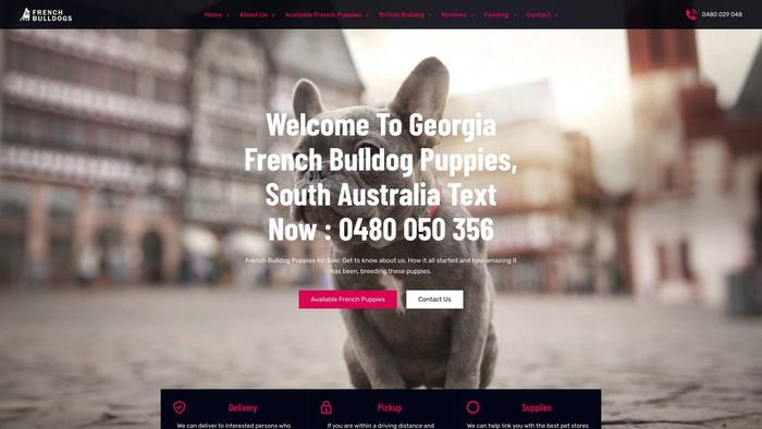 Georgiabulldogpuppies.com - French Bulldog Puppy Scam Review