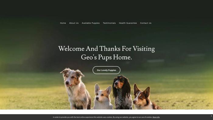 Geospupshome.com - Terrier Puppy Scam Review