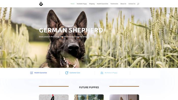 Germshepherdsplace.com - Germanshepherd Puppy Scam Review