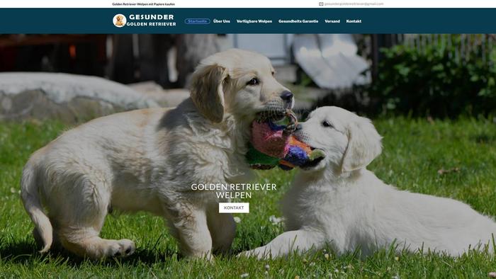 Gesundergoldenretriever.com - Golden Retriever Puppy Scam Review