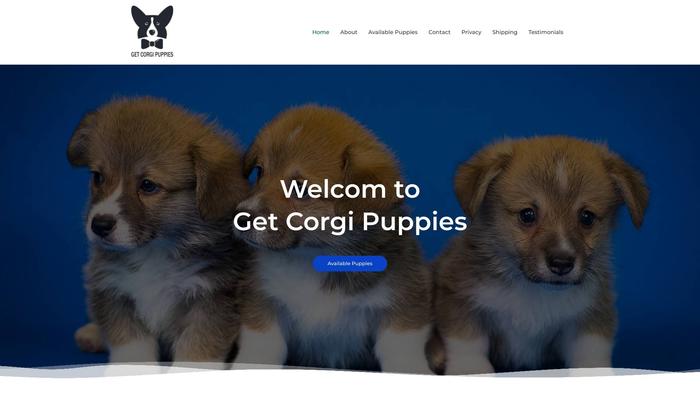 Getcorgipuppies.com - Corgi Puppy Scam Review