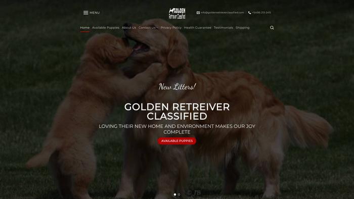 Goldenretrieverclassified.com - Golden Retriever Puppy Scam Review