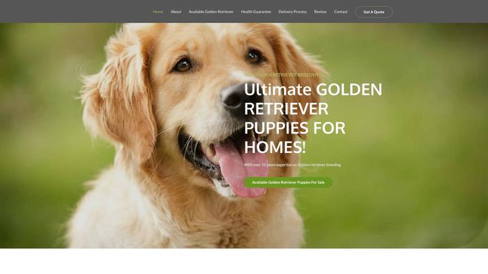 Goldenretrieverpuppsnearme.com - Golden Retriever Puppy Scam Review