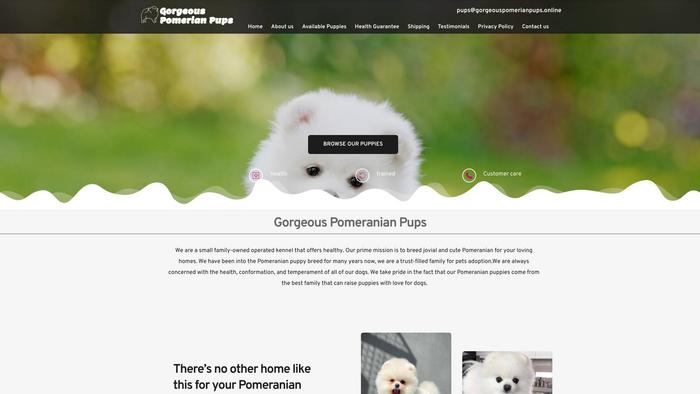 Gorgeouspomerianpups.online - Pomeranian Puppy Scam Review