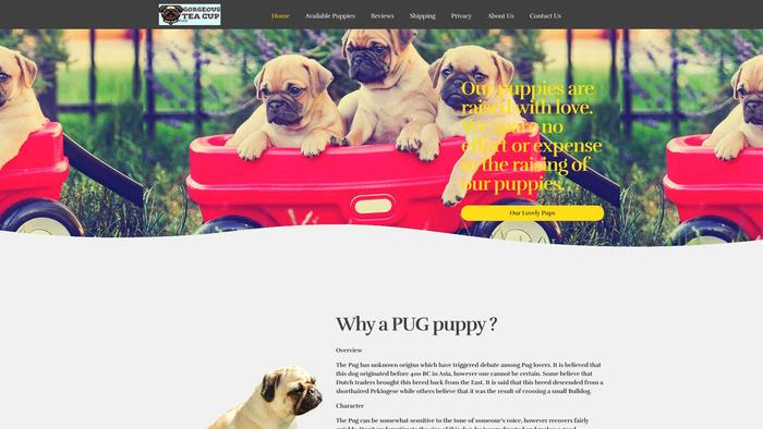 Gorgeousteacuppugs.com - Pug Puppy Scam Review