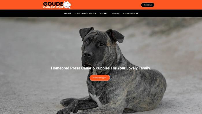 Goudecanariohome.com - Cane Corso Puppy Scam Review