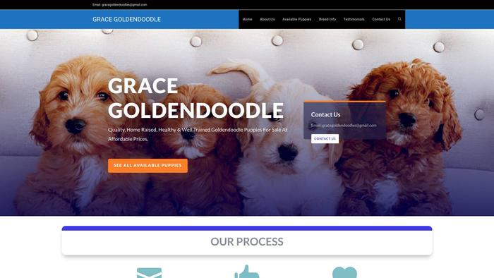 Gracegoldendoodle.com - Golden Doodle Puppy Scam Review