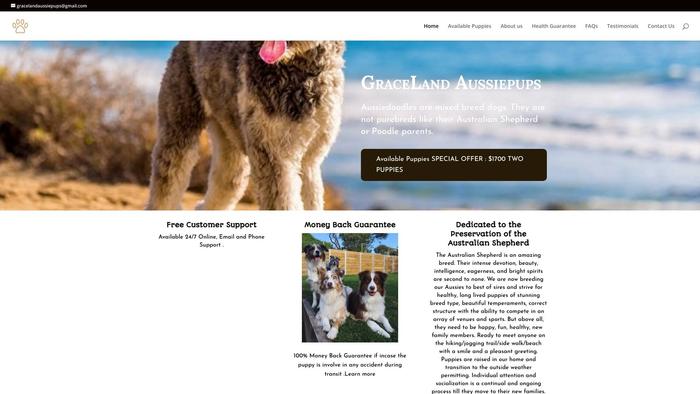 Gracelandaussiepups.com - Australian Shepherd Puppy Scam Review