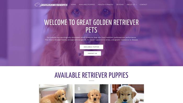 Greatgoldenretrieverpets.com - Golden Retriever Puppy Scam Review