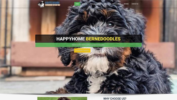 Happyhomebernedoodles.com - Bernedoodle Puppy Scam Review