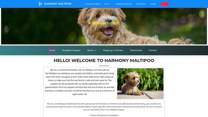 Harmonymaltipoo.com - Maltipoo Puppy Scam Review