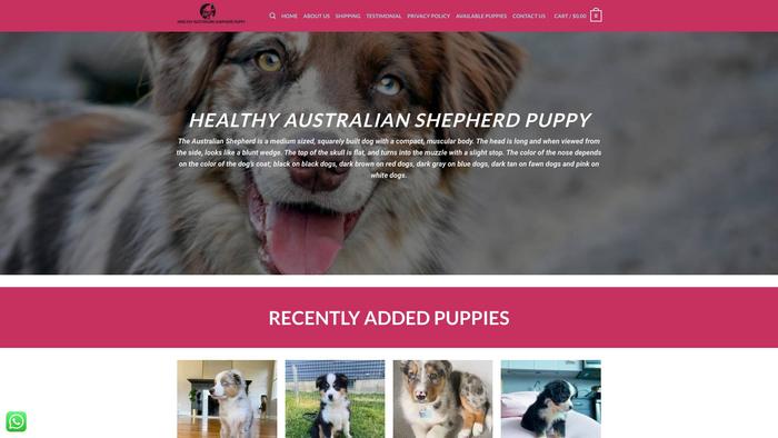 Healthyaustraliashepherdpuppy.com - Germanshepherd Puppy Scam Review