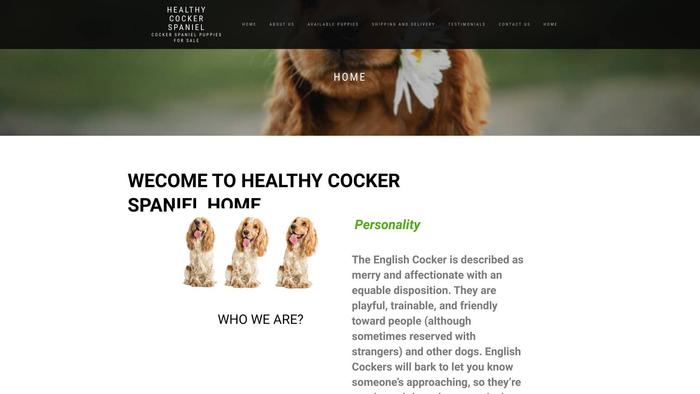 Healthycockerspanielhome.com - Cockerspaniel Puppy Scam Review