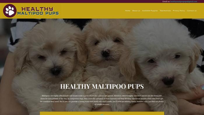 Healthymatipoopups.com - Maltipoo Puppy Scam Review