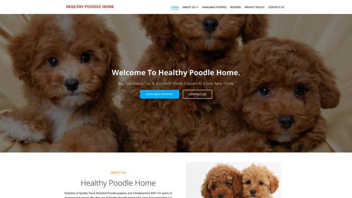 Healthyppoodlehome.com - Poodle Puppy Scam Review