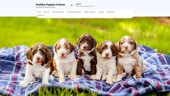 Healthypuppies4home.com - Australian Shepherd Puppy Scam Review