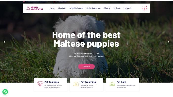 Heavenlymaltesepuppies.com - Maltese Puppy Scam Review