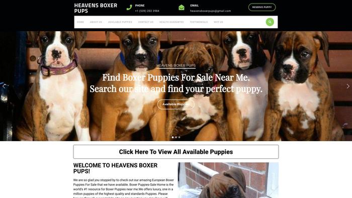 Heavensboxerpups.com - Boxer Puppy Scam Review