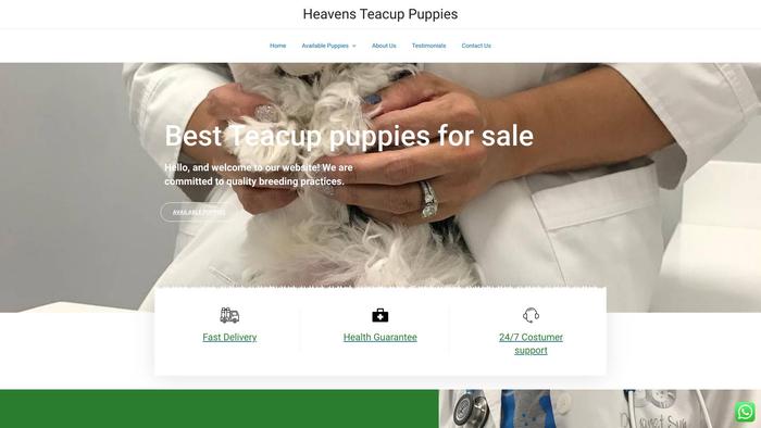 Heavensteacuppuppies.com - Yorkshire Terrier Puppy Scam Review