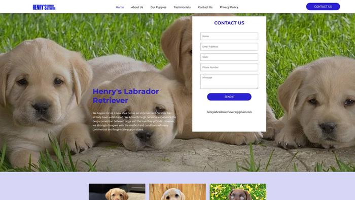 Henrylabradorretriever.com - Golden Retriever Puppy Scam Review