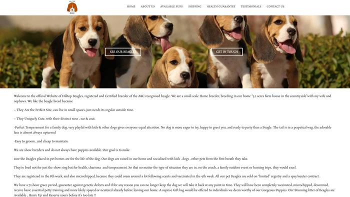 Hilltopbeagles.com - Beagle Puppy Scam Review