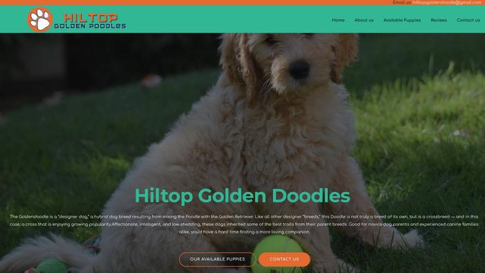 Hilltopgoldendoodle.com - Golden Doodle Puppy Scam Review