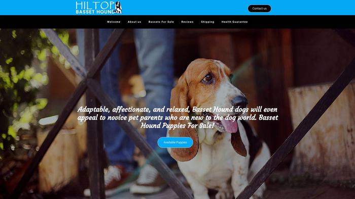 Hiltopbassethound.com - Bassethound Puppy Scam Review