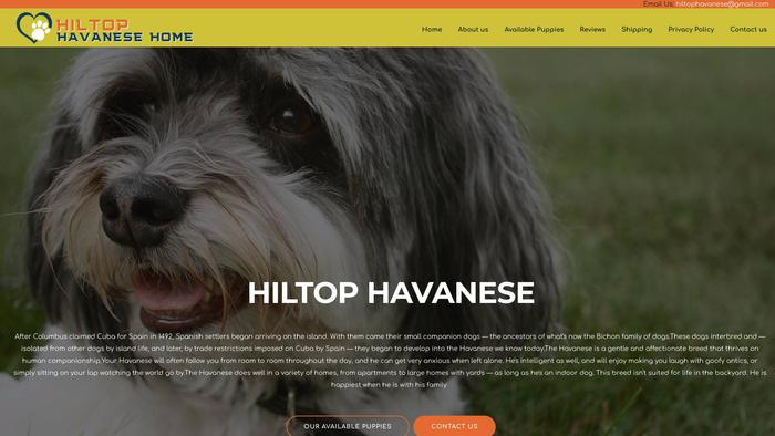 Hiltophavanese.com - Havanese Puppy Scam Review