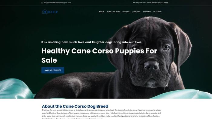 Homebredcanecorsopuppies.com - Cane Corso Puppy Scam Review