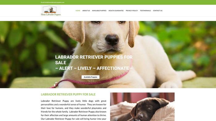 Homelabradorpuppies.com - Labrador Puppy Scam Review