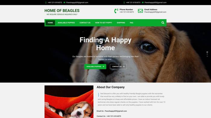 Homeobeagles.com - Beagle Puppy Scam Review