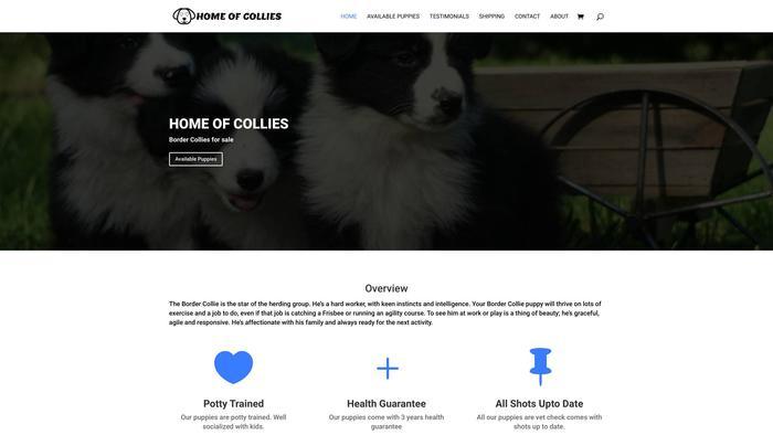 Homeofcollies.com - Bordercollie Puppy Scam Review