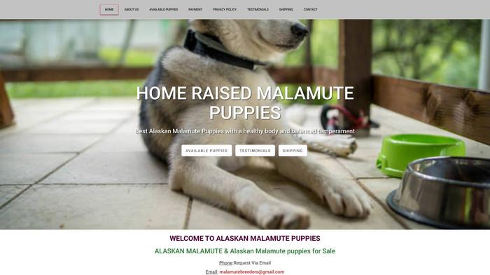 Homeraisedmalamutes.com - Malamute Puppy Scam Review