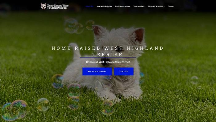 Homeraisedwesthighlandterrier.com - Terrier Puppy Scam Review